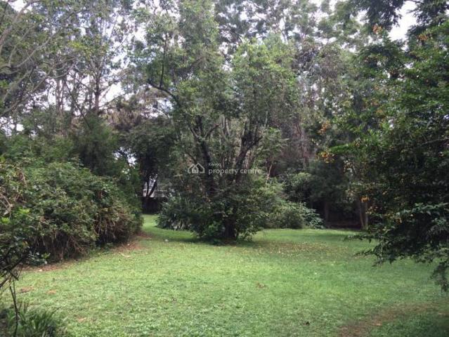 For Rent: Available Immediately Premium 3 Bedrooms Furnished Apartment In Gigir, Gigiri, Muthaiga, Nairobi | 3 Beds, 2 Baths Ref: 60995 Kenya Property Centre KPC