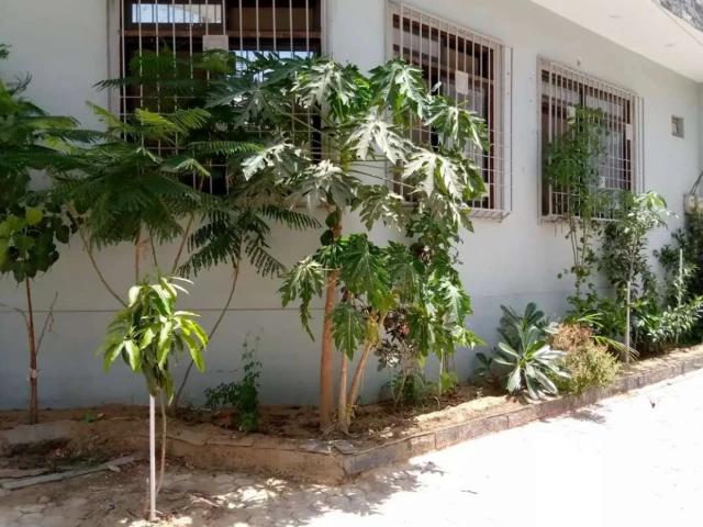 For Rent, Ground, Gushan e Maymar R3 Karachi Gulshan e Maymar ID 03266