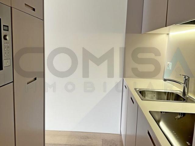 FOR RENT IN CASTAGNOLA 2 room apartment with a view of the lake