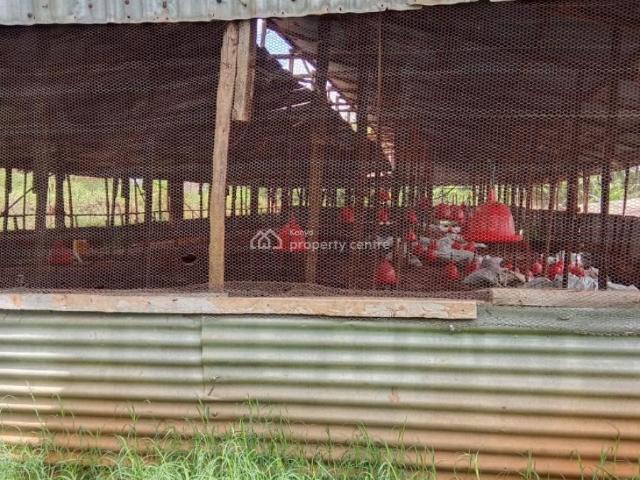 For Rent: Prime Poultry Farm, Ruiru Kiganjo Road, Ngenda, Kiambu | Kenya Property Centre Ref: 62848 Kenya Property Centre KPC