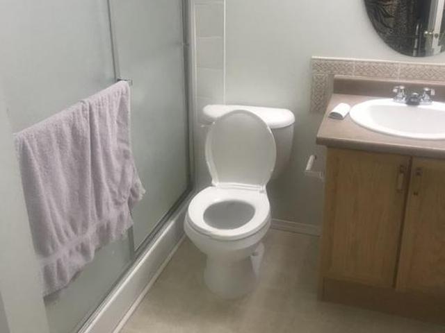 For Rent Shared Living/roommate Edmonton AB DS102916109