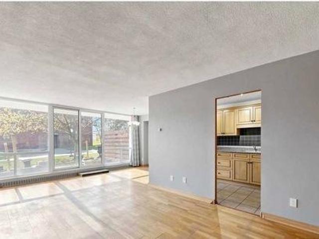 For Rent Shared Living/roommate Toronto ON DS102470514