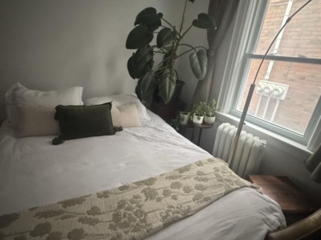 For Rent Shared Living/roommate Toronto ON DS104334773