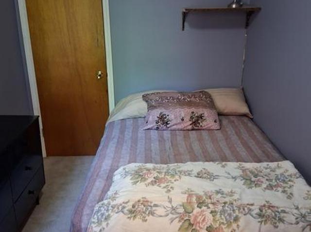 For Rent Shared Living/roommate Toronto ON DS104334970