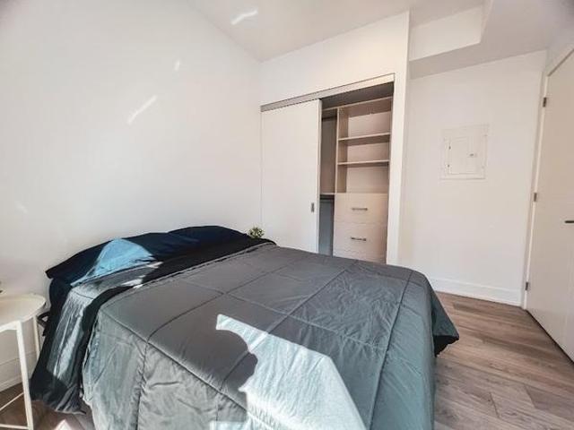 For Rent Shared Living/roommate Toronto ON DS104910890