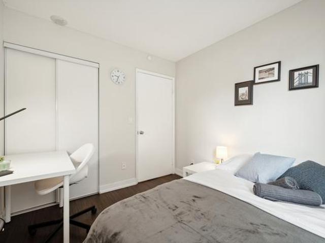 For Rent Shared Living/roommate Toronto ON DS99270546
