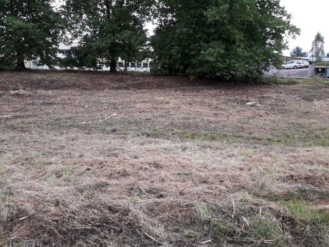 Forbach Vente Terrain 57