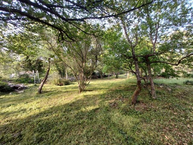 Forcalqueiret Vente Terrain 83