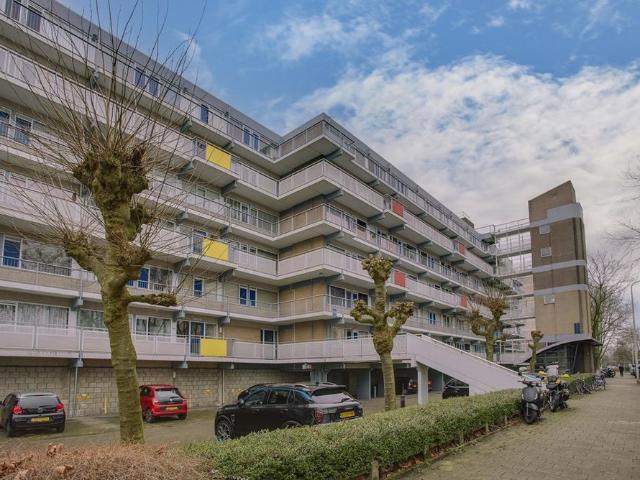 Forellendaal, 313, 2553JM, Den Haag, Zuid Holland 2553JM