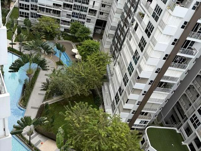 Forestville D25, Condominium
