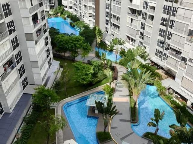 Forestville D25, Condominium