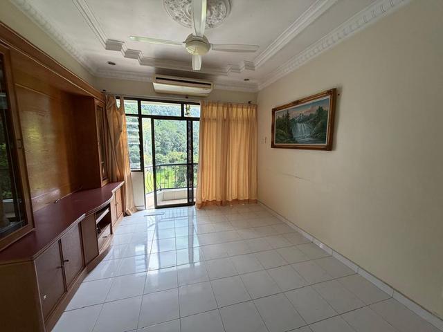 Forest Field Apartment Botanical Garden Gurney Pulau Tikus For Sale