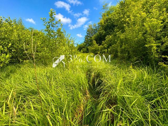 FORET TERRAIN 11.407 M2