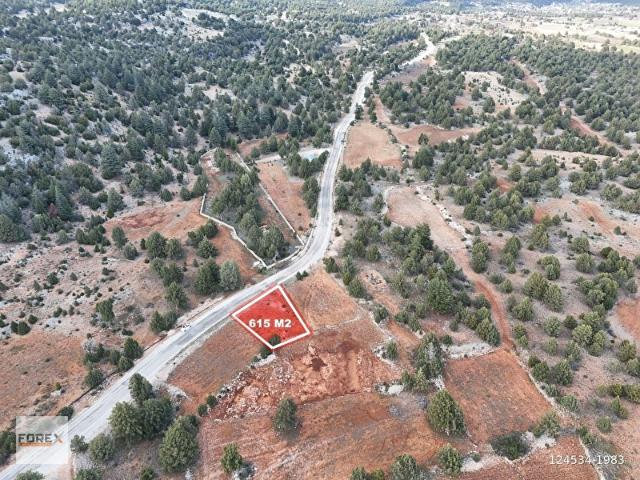 FOREXTEN GÜNEYLİ DE YOLA SIFIR YATIRIMLIK 615 M2 TARLA !