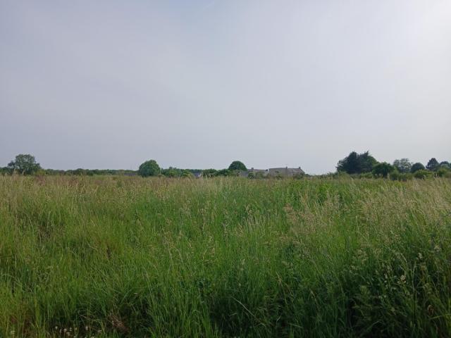 Formigny Vente Terrain 14