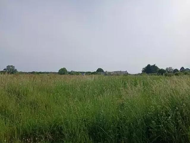 Formigny La Bataille 14710 Programme neuf terrain neuf à vendre