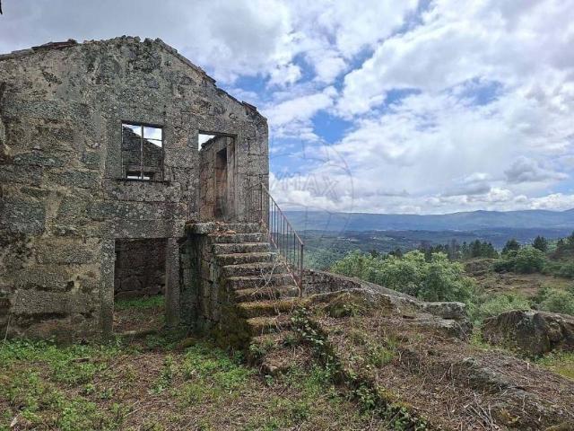 Fornos de Algodres Guarda 102245597