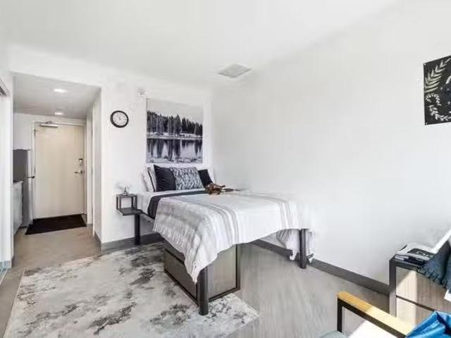 Four Bedroom Suite