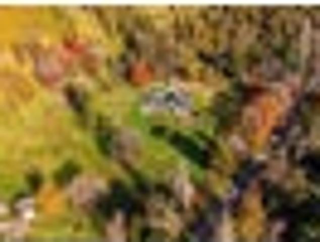 Four beds. Family living. Land and views