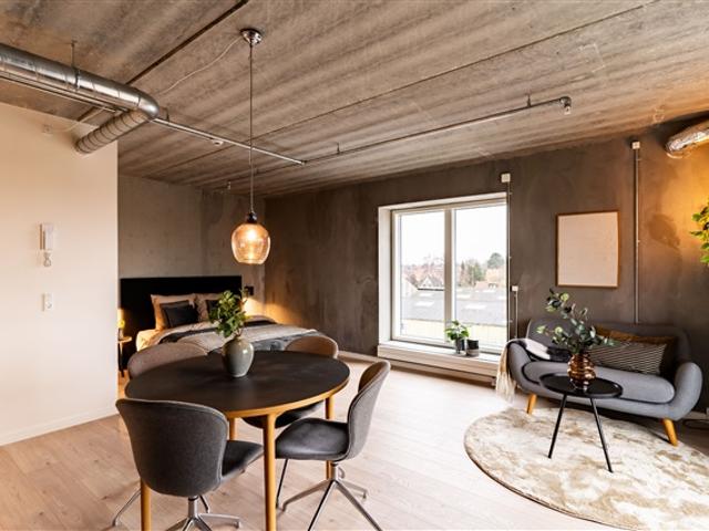 Flot og rummelig studiebolig, Kongens Lyngby, København