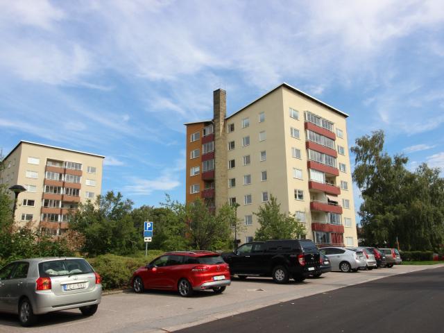 Floragatan 20