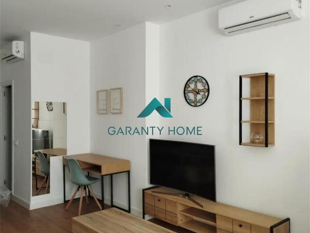 Flat Madrid Zofio