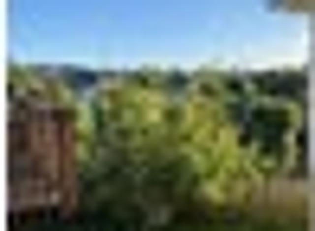 Flat Bush, 3 bedrooms, $595 pw