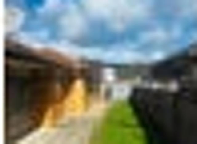 Flat Bush, 3 bedrooms, $750 pw