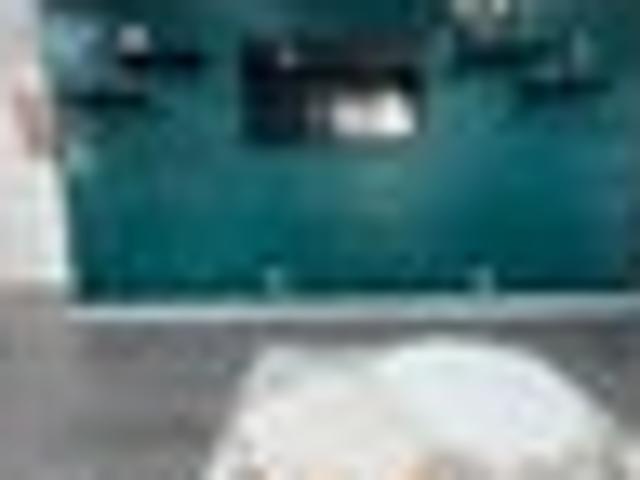 Flat Bush, 4 bedrooms, $850 pw