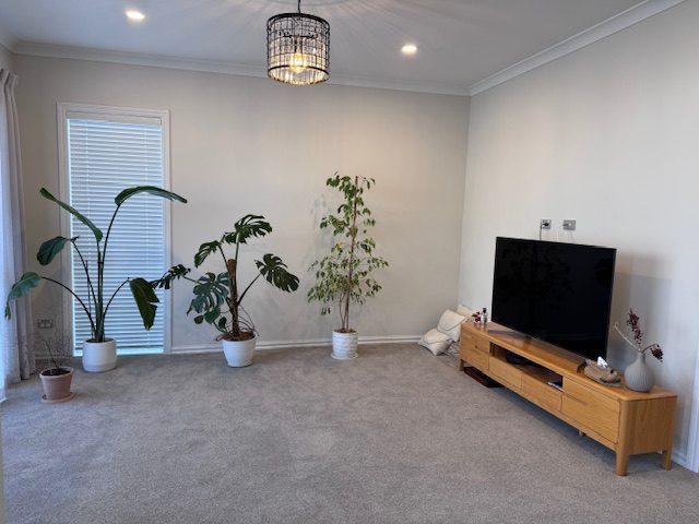 flat bush, 5 bedrooms