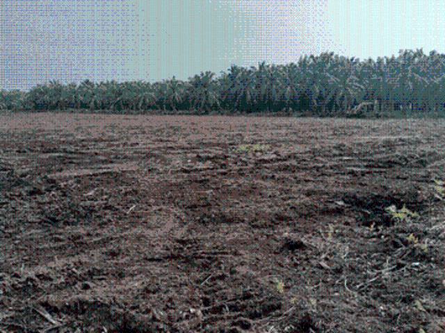 Flat & Cleared Land In Jln Raja Musa Jeram For Rent