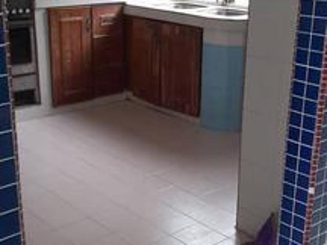 Flat dahlia utk dijual