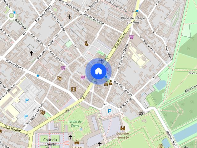 Flat Fontainebleau INSEAD