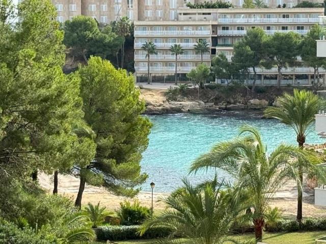 Flat for rent in Cala Vinyes / Cala Vinyas / Cala Viñas, Calvià, Mallorca