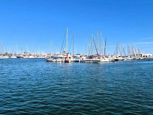 Flat for rent in Ensanche Diputacion, Alicante / Alacant city, Alicante