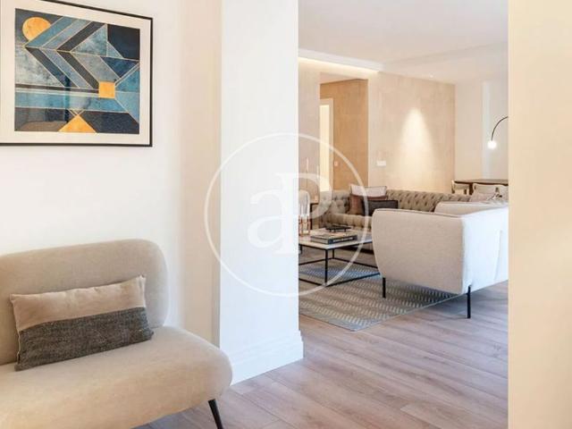 Flat for rent in Ibiza Madrid
