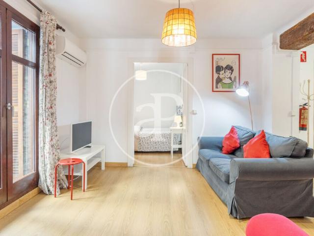 Flat for rent with Terrace in El Carme Valencia