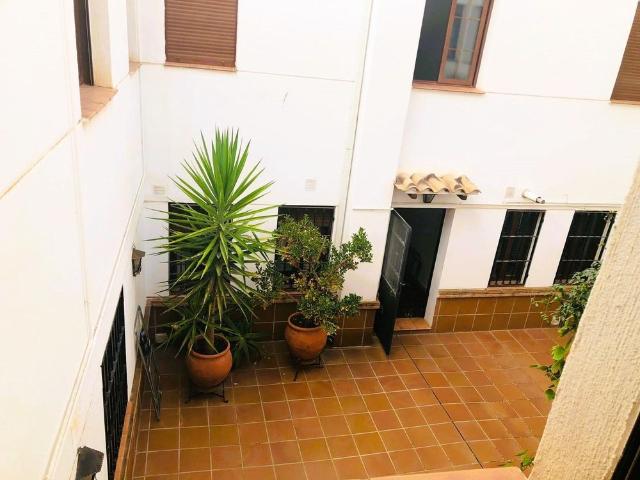 Flat Granada Realejo