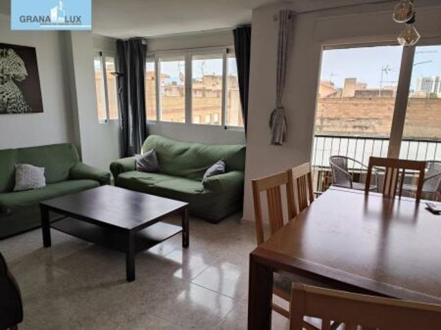 Flat Granada Zaidin