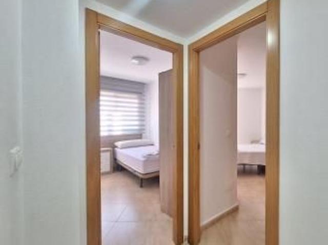 Flat JAVALI VIEJO Javalí Viejo