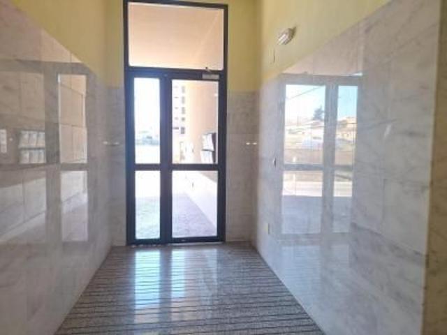 Flat JAVALI VIEJO Javalí Viejo