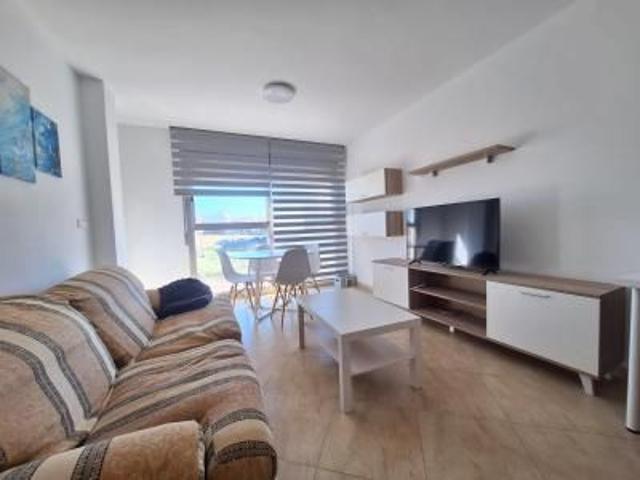 Flat JAVALI VIEJO Javalí Viejo