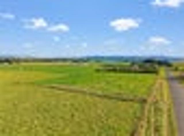 Flat Land, Big Ideas in Maraekakaho