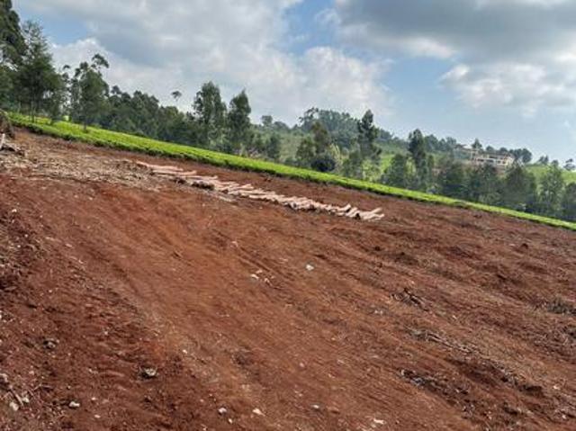 Flat land for SALE 1 acre