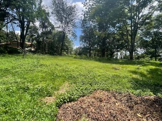 Flat red soil Half acre in Rosslyn at Rosslyn lone tree