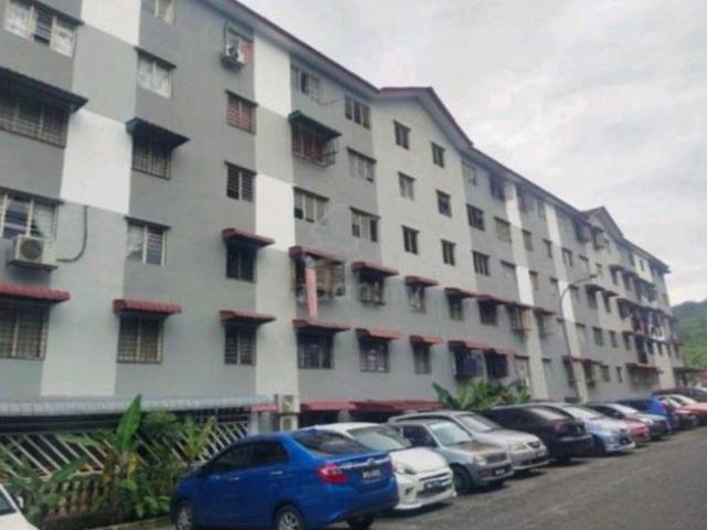 flat teratai