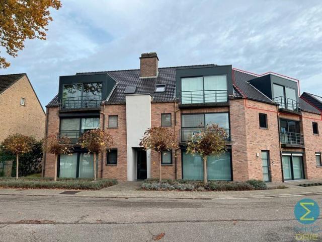 Flat to rent: Sint Antoniusstraat 9B 202, 2400 Mol on Realo