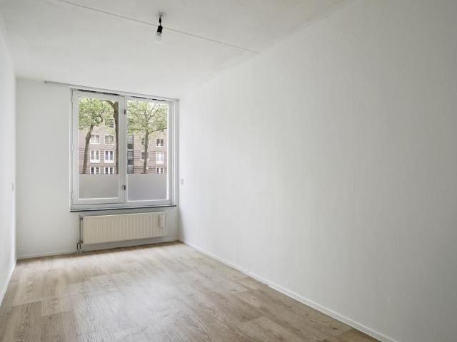 Flatmate to share the rental apartment