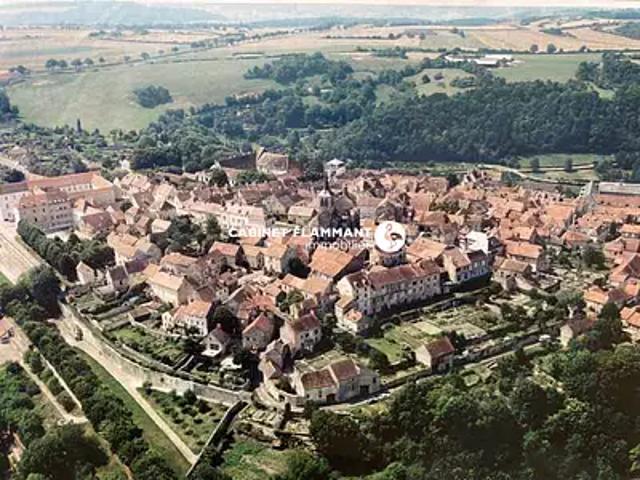 Flavigny sur Ozerain 21150 Achat / Vente maison 7 pièces t7 terrasse parking
