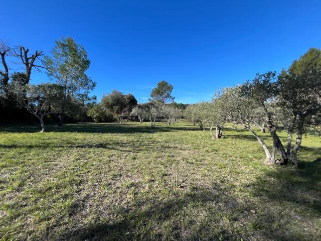 Flayosc Vente Terrain 83
